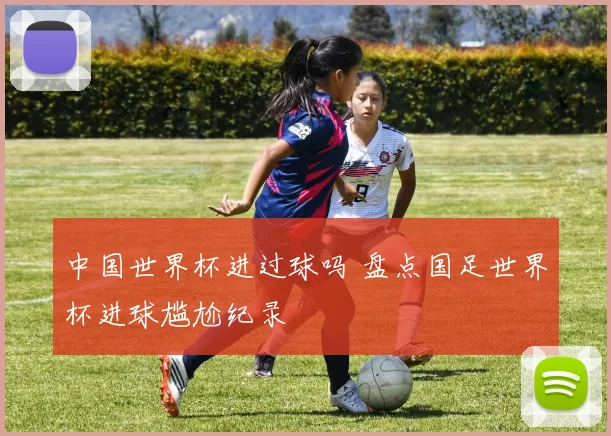 中国世界杯进过球吗 盘点国足世界杯进球尴尬纪录