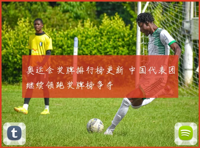 奥运会奖牌排行榜更新 中国代表团继续领跑奖牌榜争夺