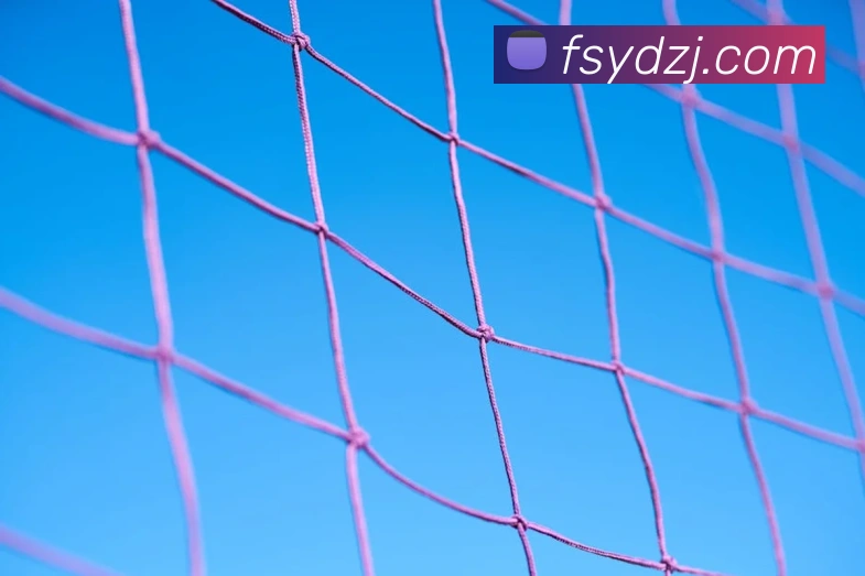 火箭队线观看渠道更新 球迷关注比赛直播与赛程安排